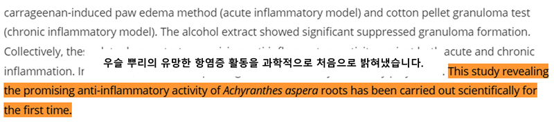 우슬 뿌리 효능