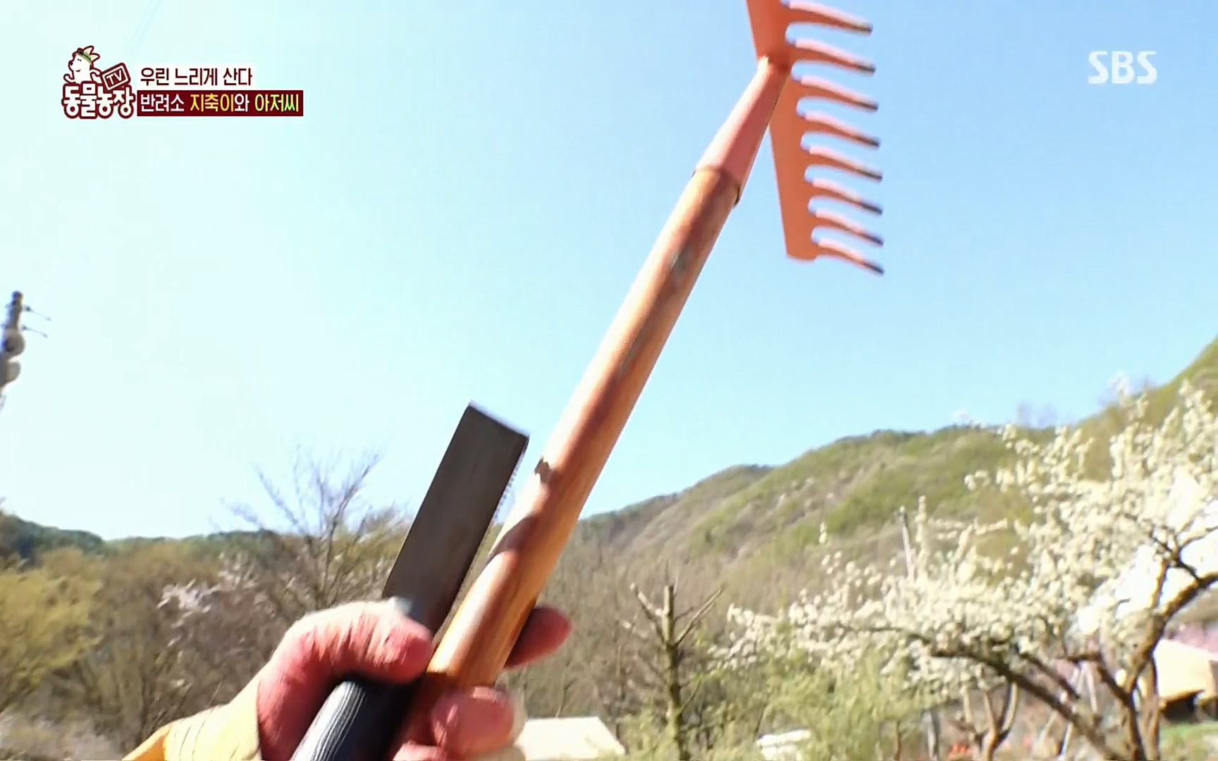 TV 동물농장.E1074.220619p.H264-F1RST.mp4_20220619_181154.558.jpg