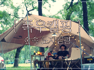  강원도 노지 차박성지 미락숲 캠핑 후기 GLB 250
