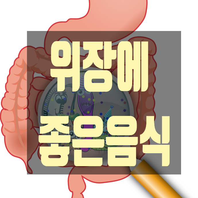 위에 좋은 음식 건강하게 살아요