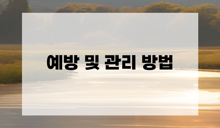 예방 및 관리 방법
