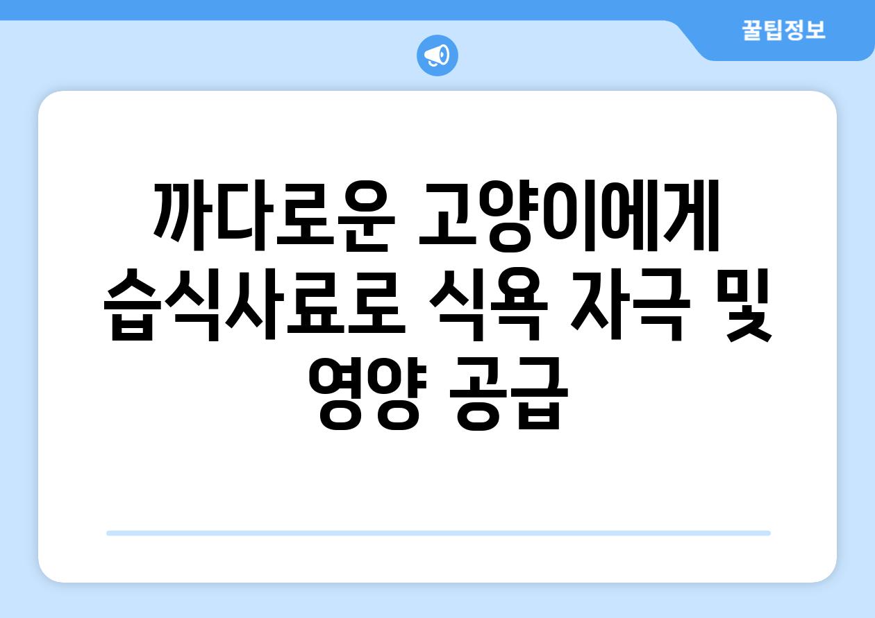 까다로운 고양이에게 습식사료로 식욕 자극 및 영양 공급