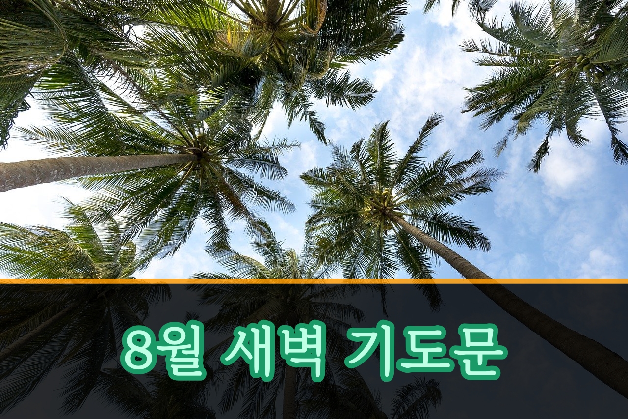  8월 새벽 기도문