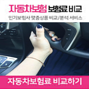  첫차보험 보험료 유리하게 바로 확인