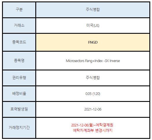 미국주식 주식병합 FNGD