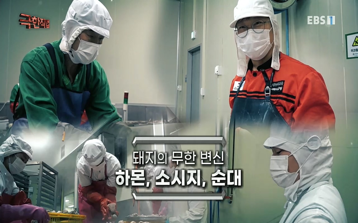TV - 교육의 중심 EBS돼지의 무한 변신 - 하몬, 소시지, 순대.mp4_20220919_194229.846.jpg