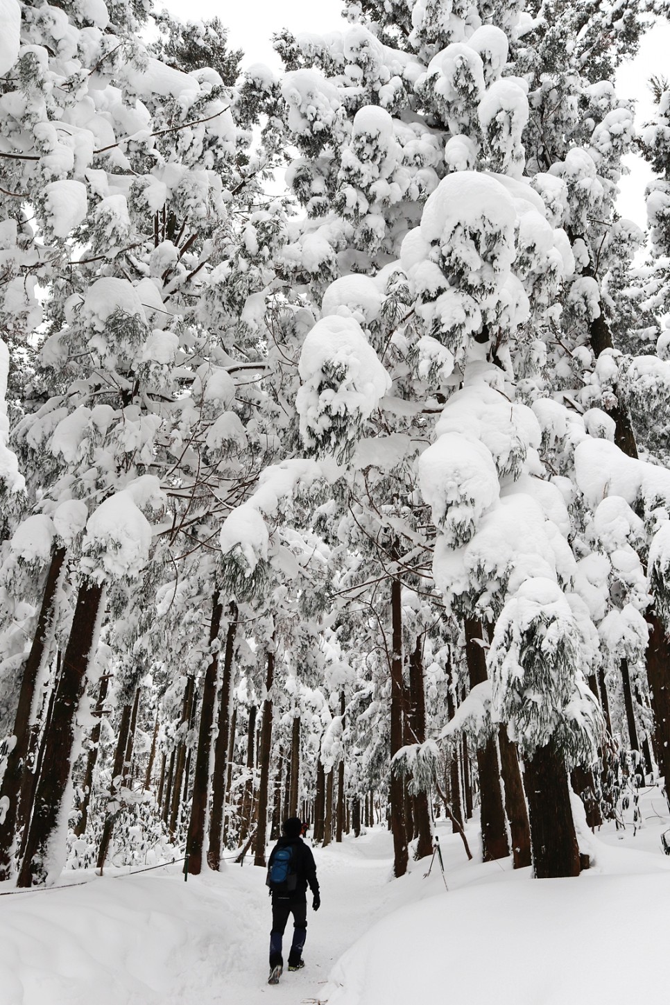 눈쌓인 겨울산 이미지 47