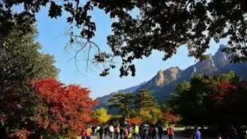 강원도 여행 파격 할인 혜택 강원생활도민증 발급 이용방법
