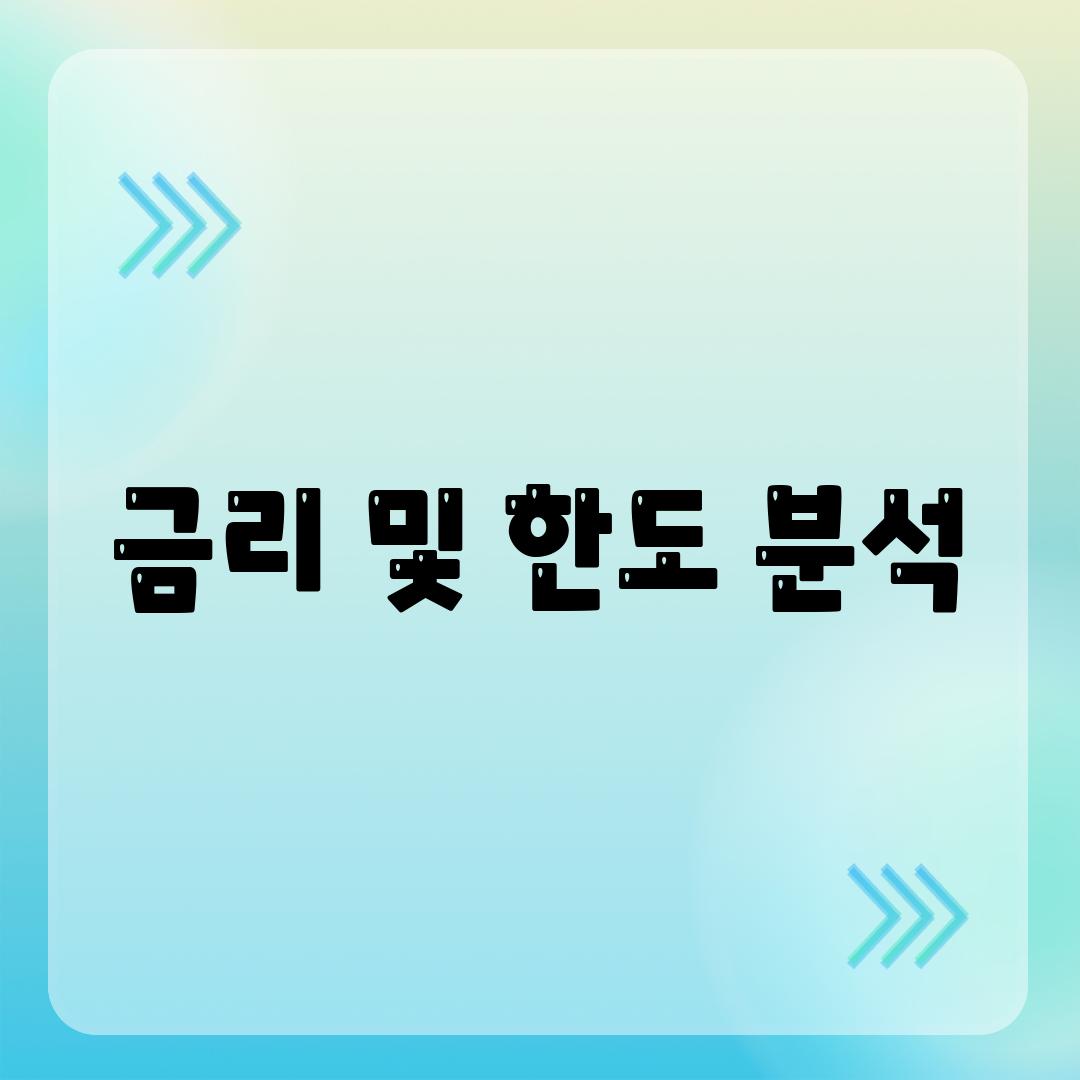 금리 및 한도 분석