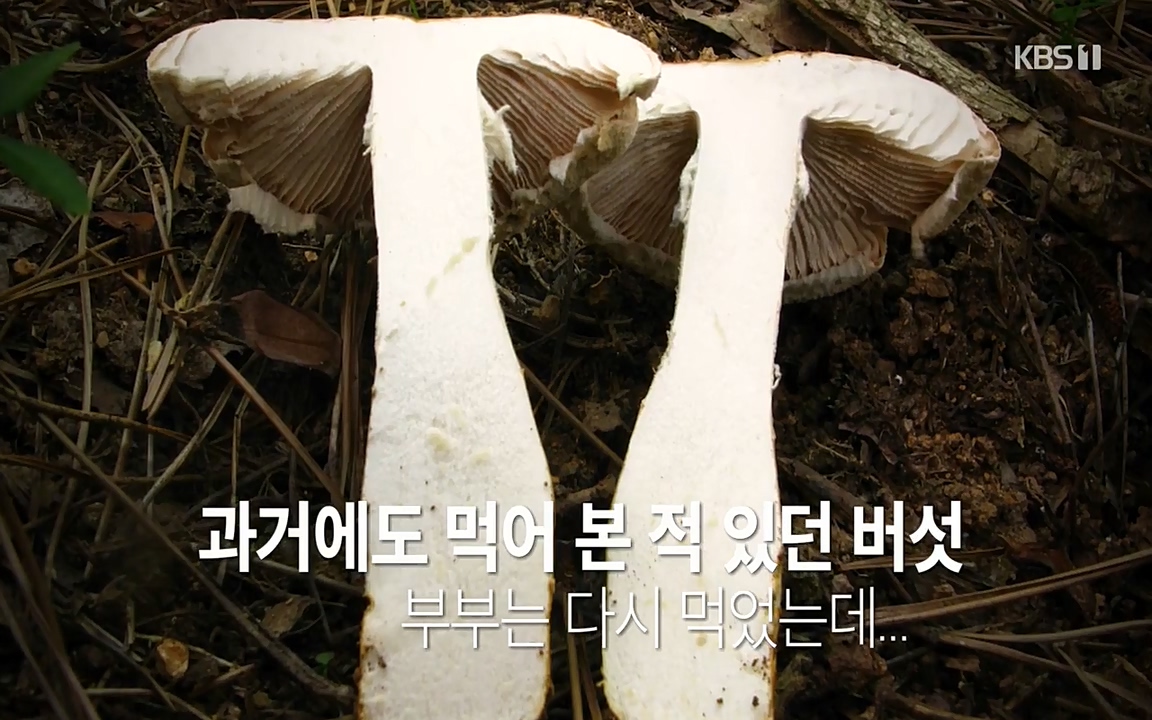 생로병사의 비밀.E819.220421p-NEXT.mp4_20220421_190843.782.jpg