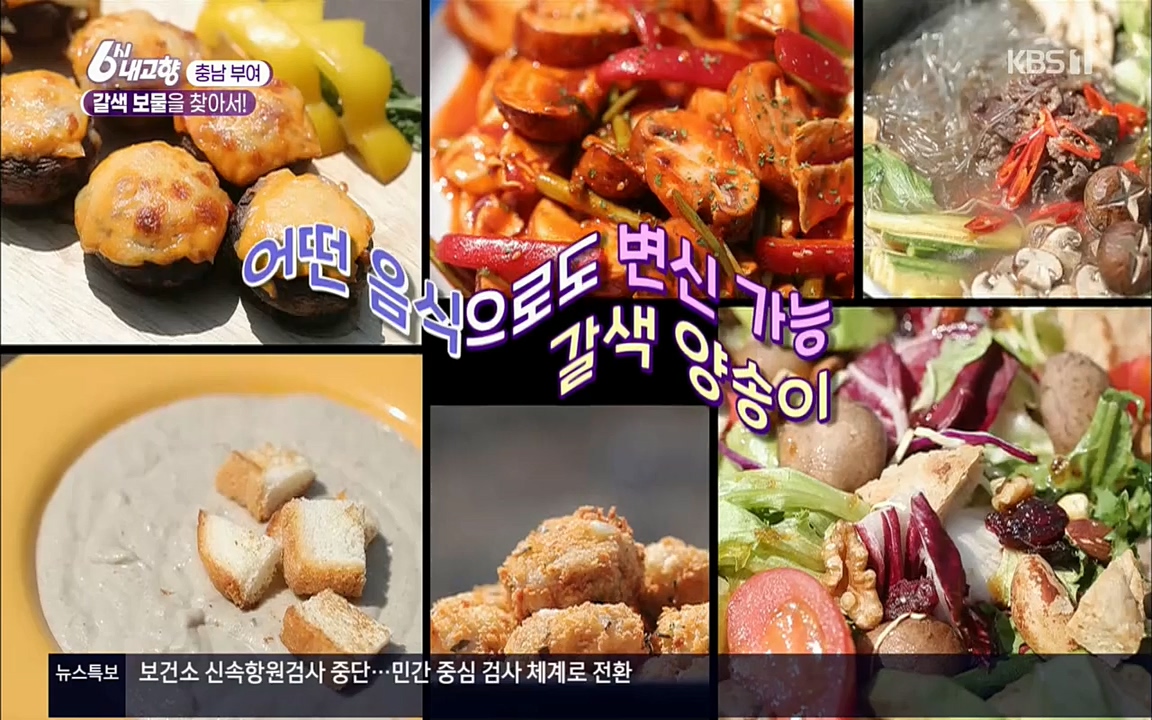 6시 내고향.E7512.220416p.H264-F1RST.mp4_20220502_194131.571.jpg