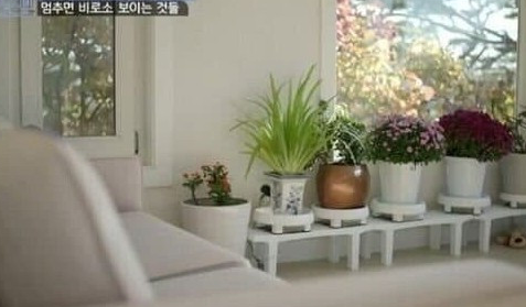  한때 유행하던 '무소유'를 한순간에 방송가에서 사라지게 한 인물