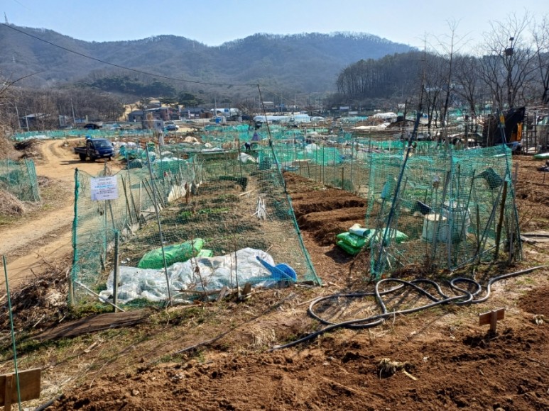 서오릉 주말농장 가격 분양 받기 고양 덕양구 삼송 원흥 도래울 텃밭. 서오릉 주말농장 가격 분양 받기 고양 덕양구 삼송 원흥 도래울 텃밭.