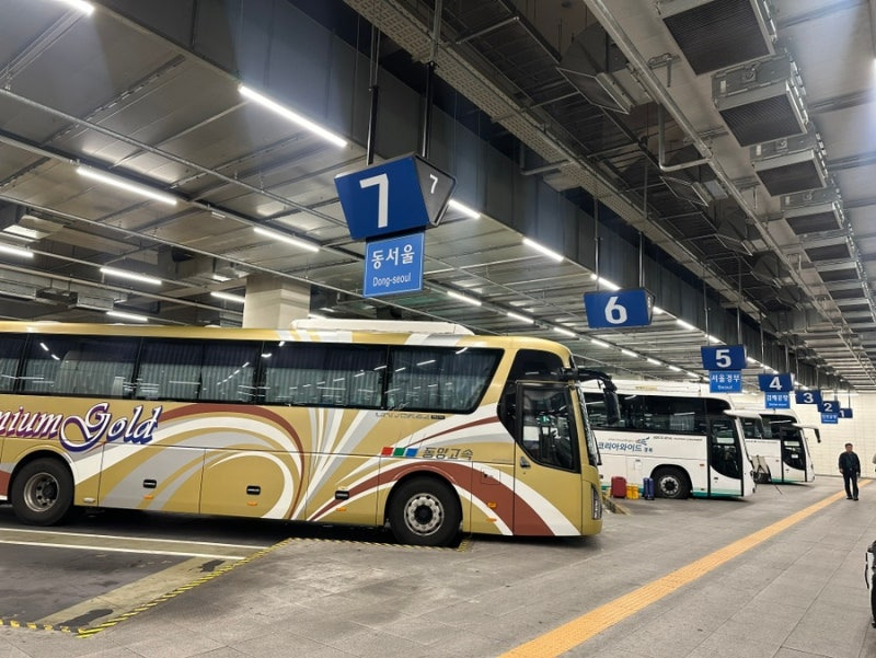 대구 김해공항 리무진 시간표