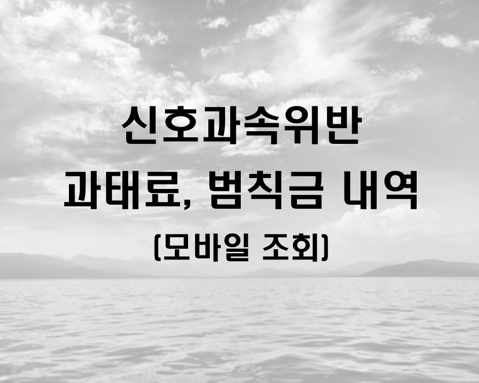 신호위반 단속 확인방법(과속, 과태료, 범칙금)
