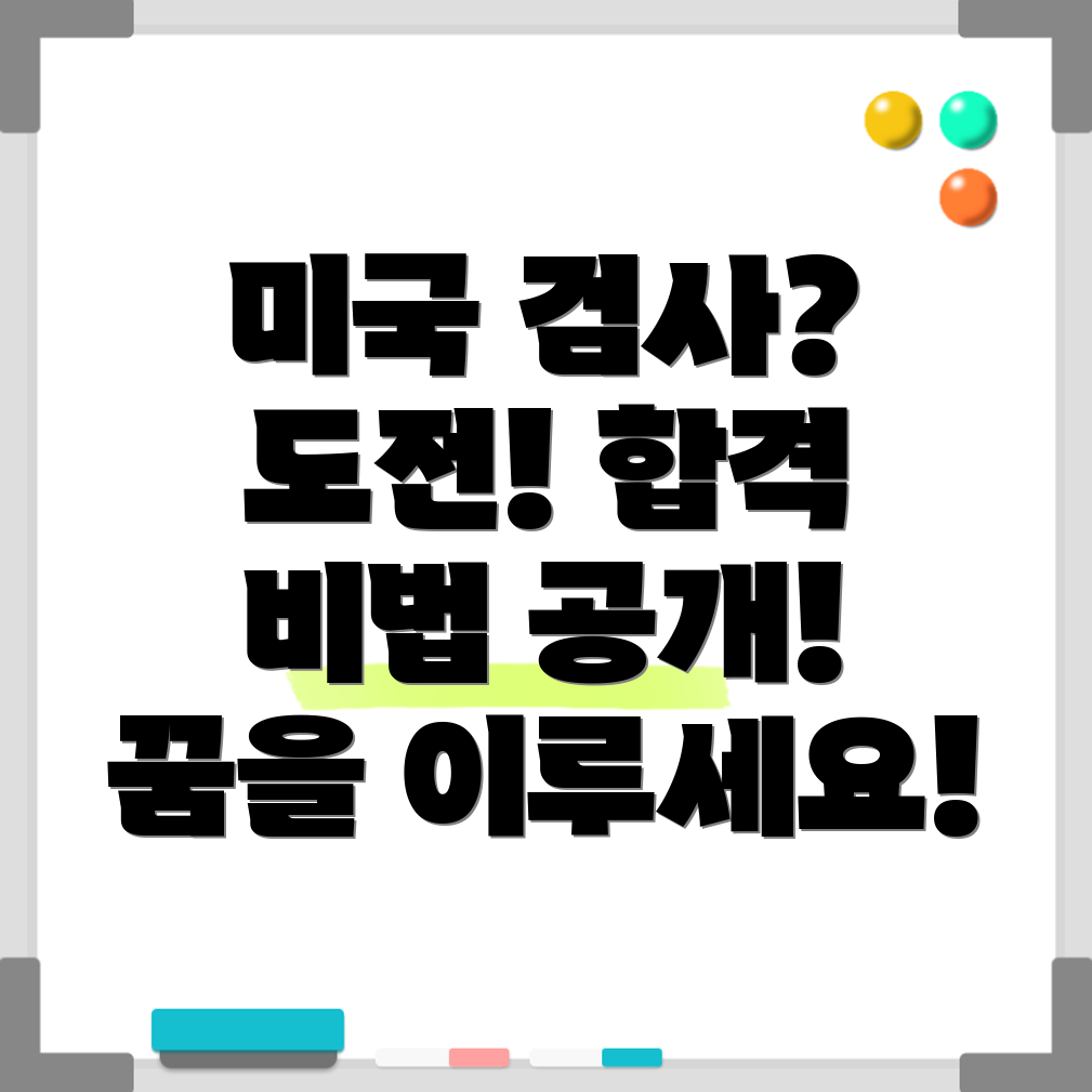 미국 검사