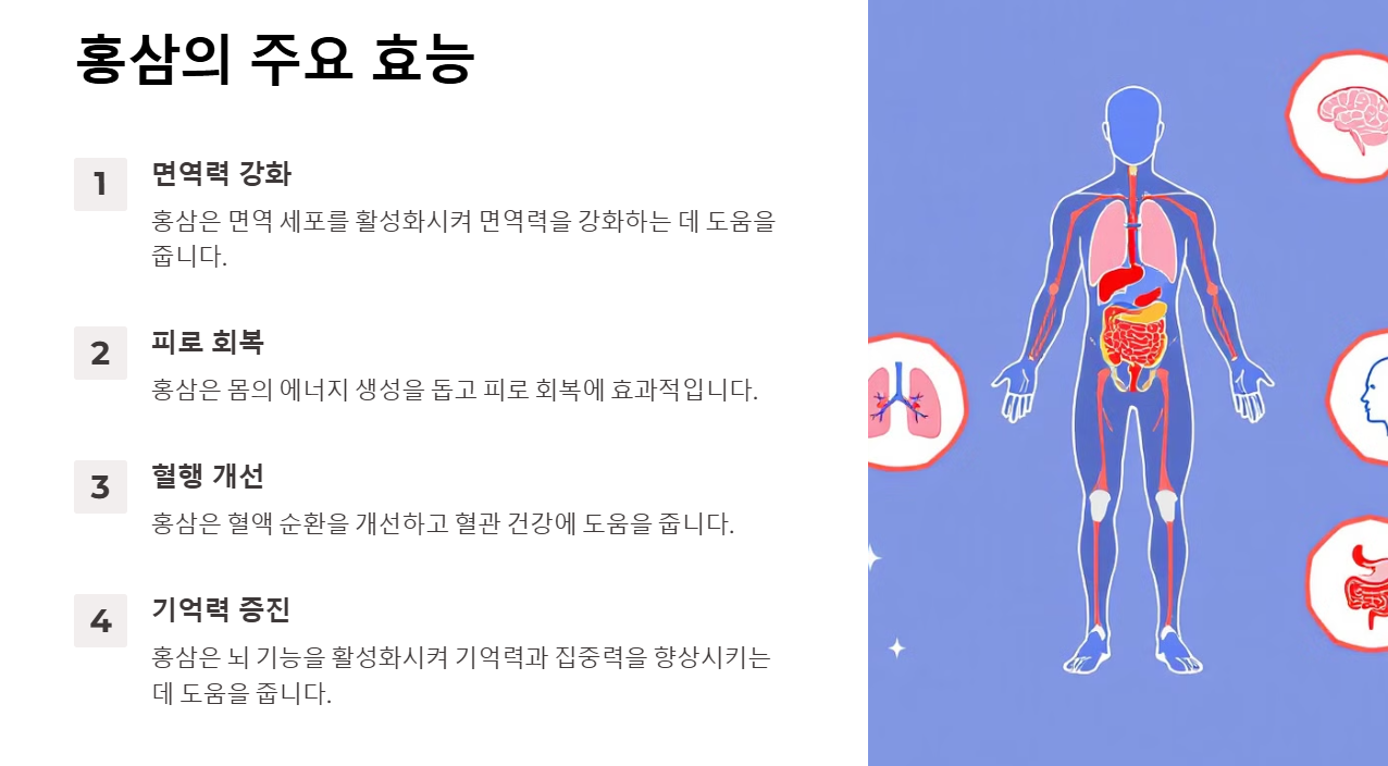 홍삼의 효능