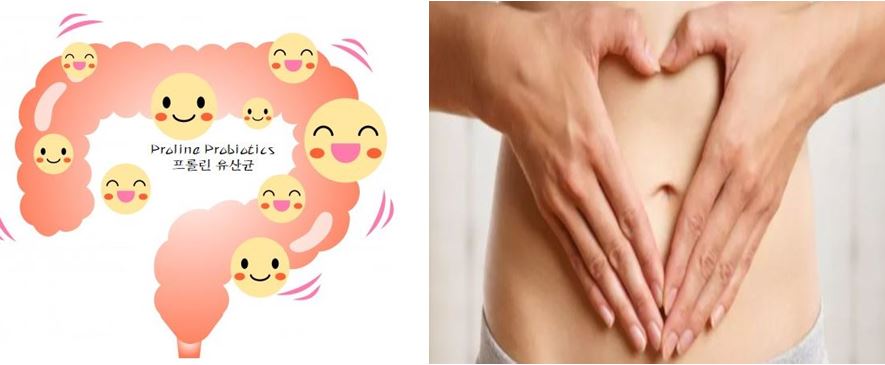  프롤린유산균이란? 효능 부작용 하루권장량