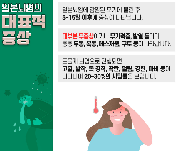 일본뇌염 대표 증상 설명