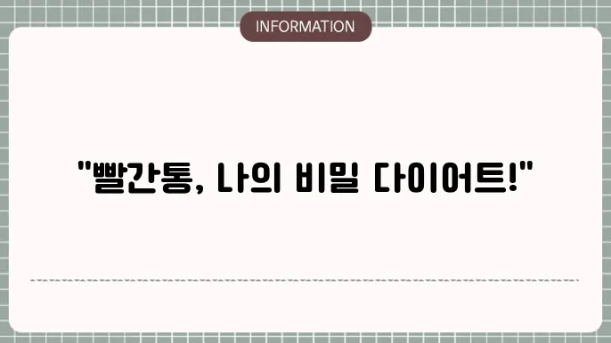 빨간통 다이어트 내돈내산