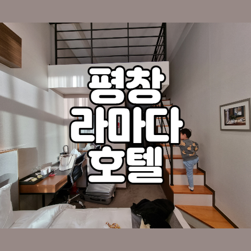 강원도 여행 평창 라마다 호텔 아이랑 가기 좋은 곳