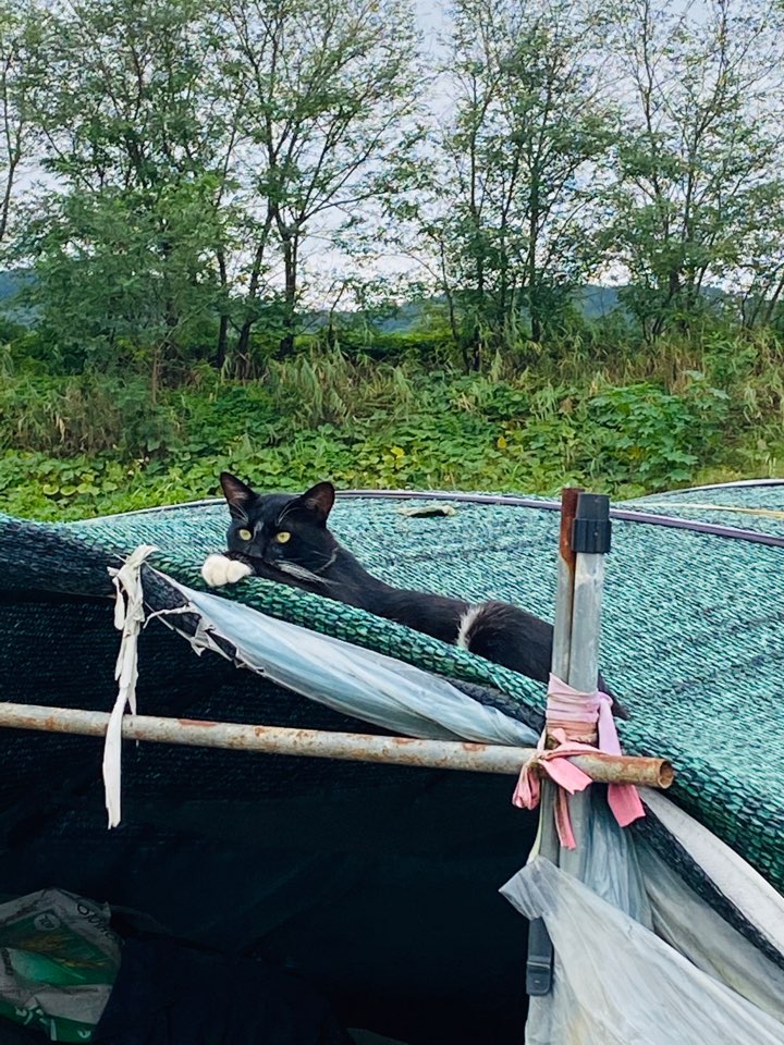 가을 들판 사진 가을 들판에서 5
