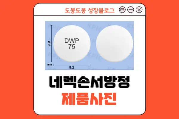 네렉손서방정 성상 정보 이미지