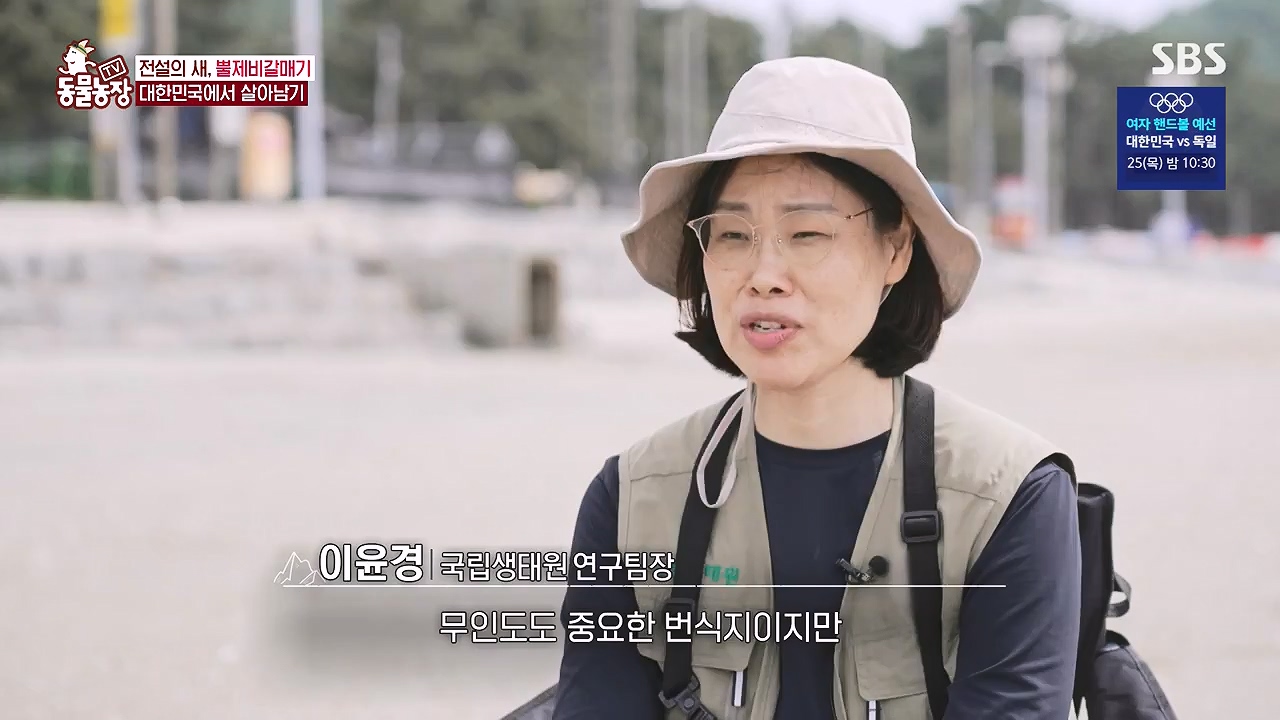 TV 동물농장.E1181.240722p-NEXT.mp4_20240721_165600.696.jpg