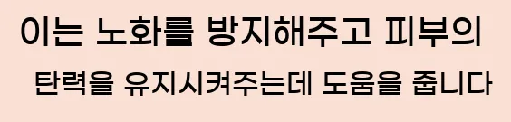  이는 노화를 방지해주고 피부의 탄력을 유지시켜주는데 도움을 줍니다