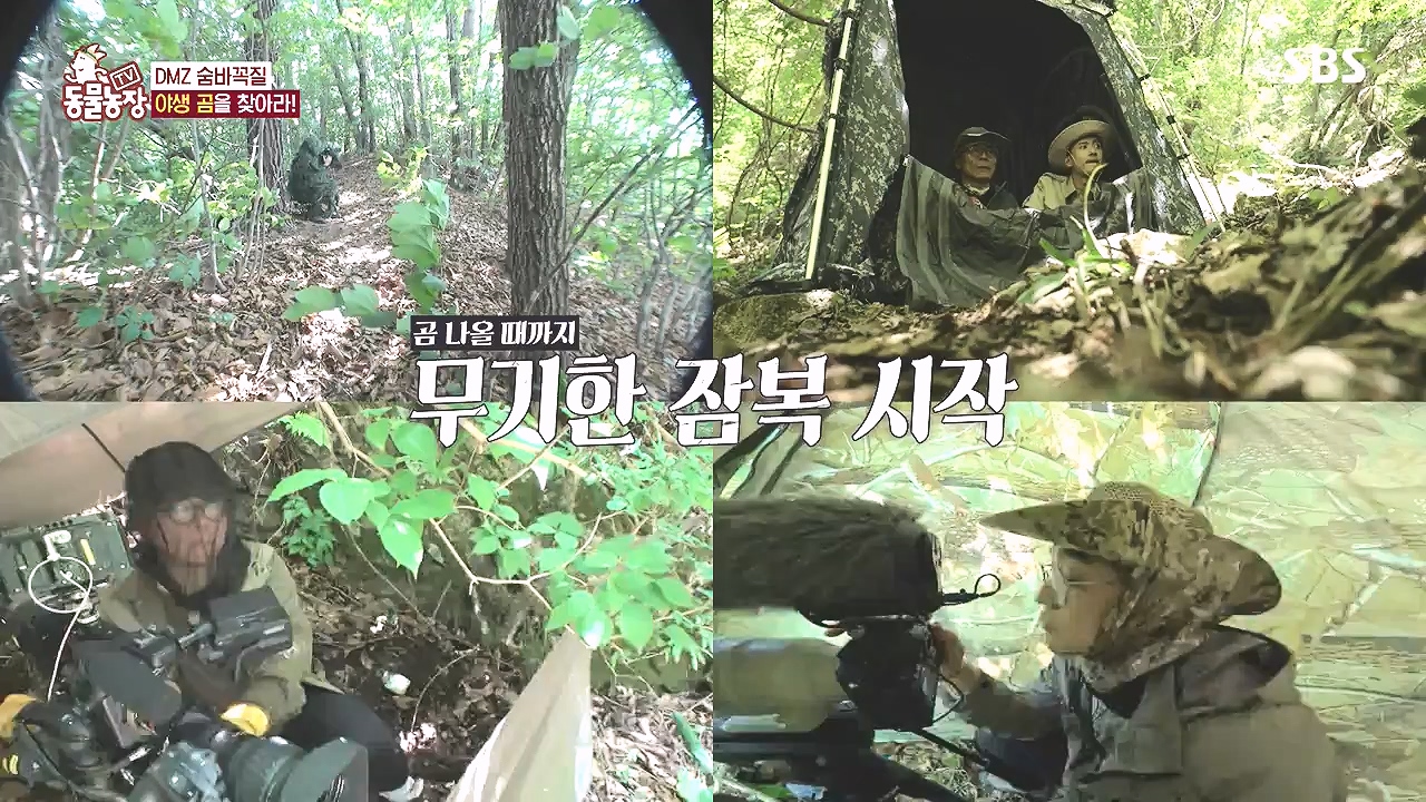 TV 동물농장.E1184.240812p-NEXT.mp4_20240811_172518.133.jpg