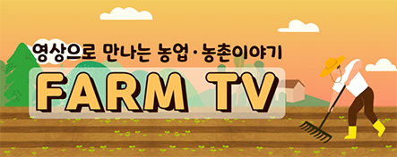 땅과 큰 일교차가 향·단단함 올리는 비결” 섬진강 품은 골짜기에서 익어가는 곡성매실…“기름진 3