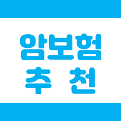  20대부터 70대까지 비갱신 암보험추천 상품의 가격 비교 및 가입 조건을 알아보세요.