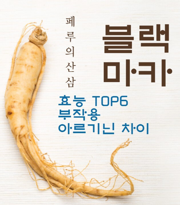 산삼-사진과-페루의산삼이라고-불리는-블랙마카의-효능-TOP6와-부작용-아르기닌-차이에-대한-썸네일입니다.