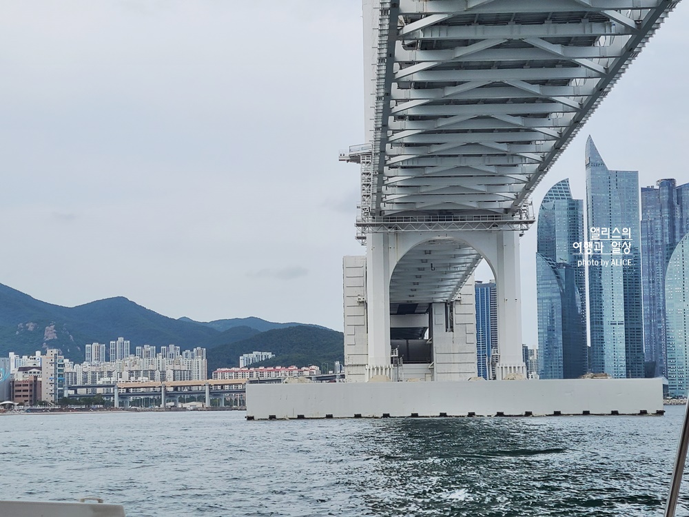 부산 요트투어 더베이 101 해운대 출발&#44; 부산 요트투어 가격&#44; 해운대 데이트 코스 추천