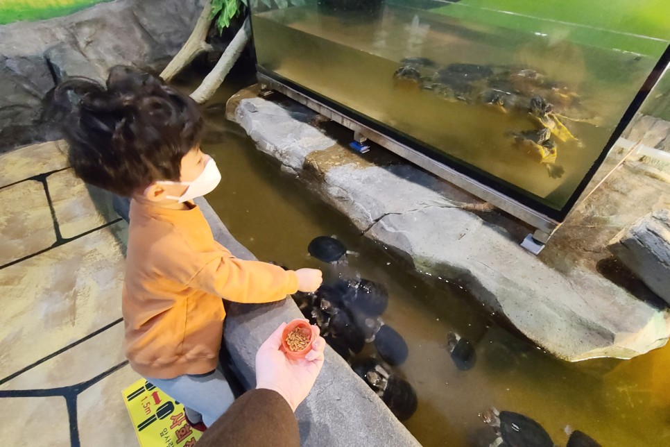 부천 아쿠아리움 부천 아쿠아리움먹이주기 체험 7