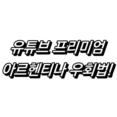 유튜브 프리미엄 아르헨티나 우회법