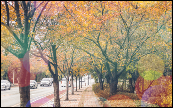  서울 단풍시기, 가볼만한 곳 베스트 8