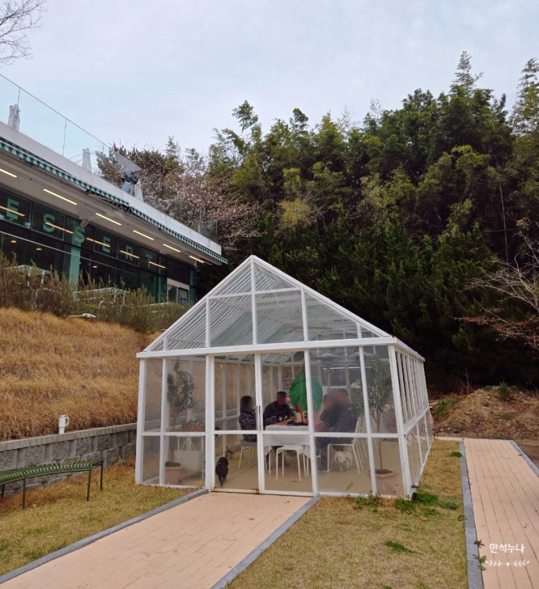 카페포레스트인 이미지