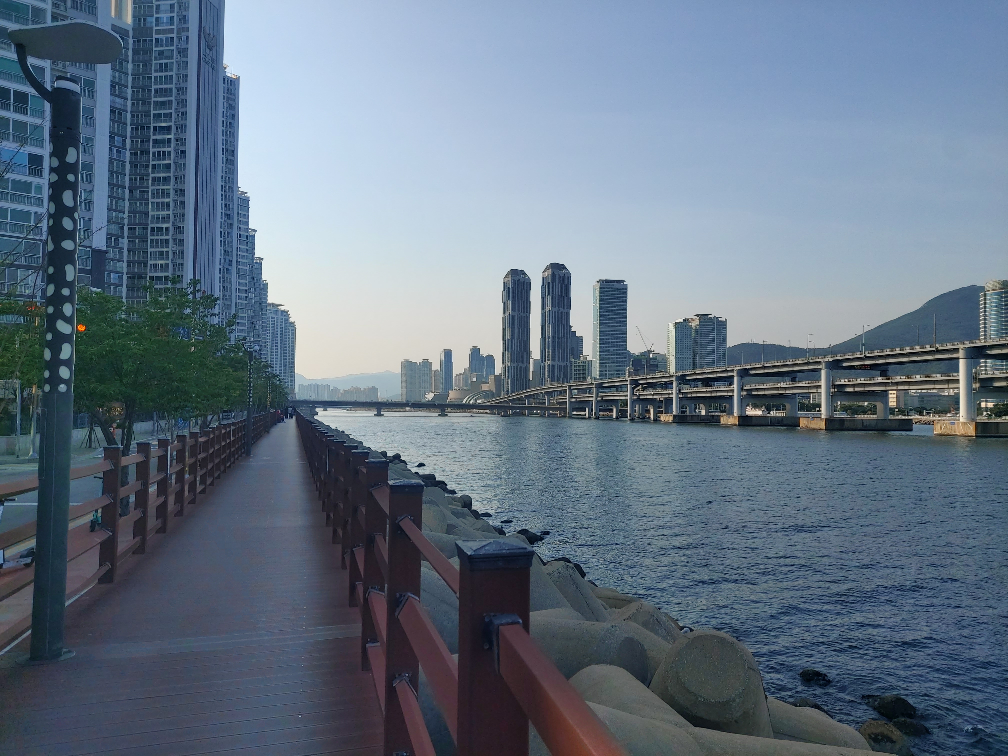 수영만