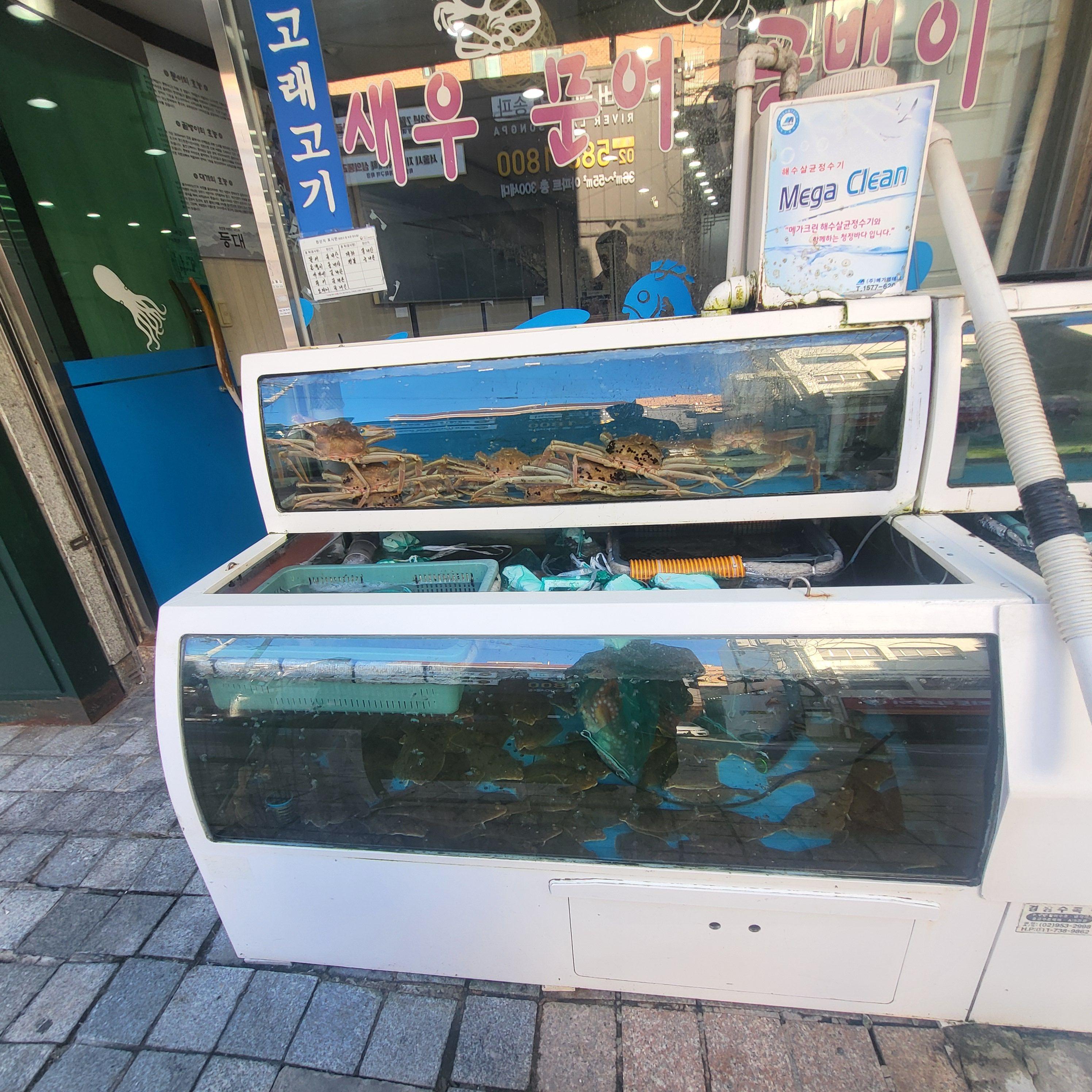 세꼬시집 이미지