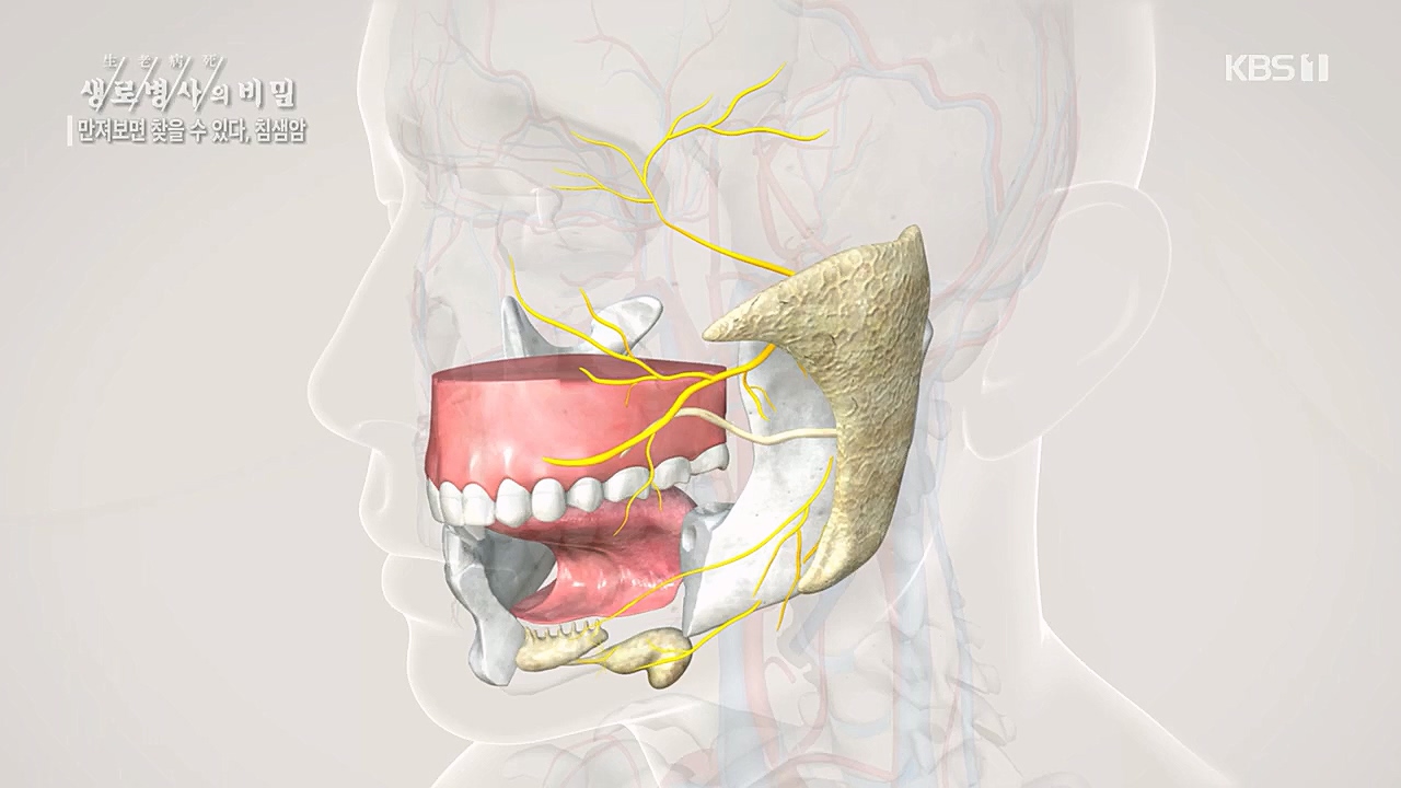 생로병사의 비밀.E851.230112p.H264-F1RST.mp4_20230119_200624.829.jpg