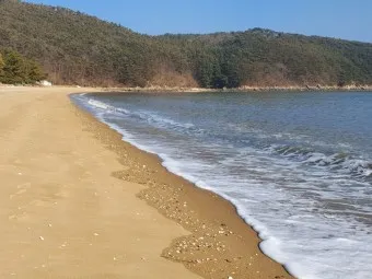 덕적도 배시간표 차량승선 비용 알아보기_16