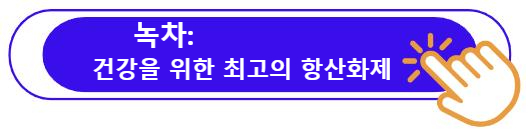 녹차, 건강을 위한 최고의 항산화제 알아보기
