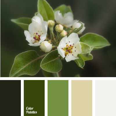 색상조합사이트