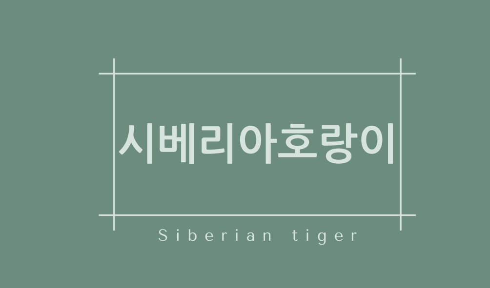 시베리아호랑이(Siberian tiger)