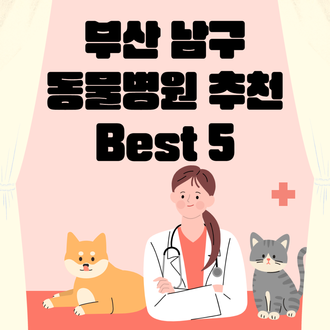 부산 남구 동물병원 추천 Best 5 ㅣ24시간 동물병원ㅣ비용ㅣ반려동물 의료비 지원 50만원 블로그 썸내일 사진