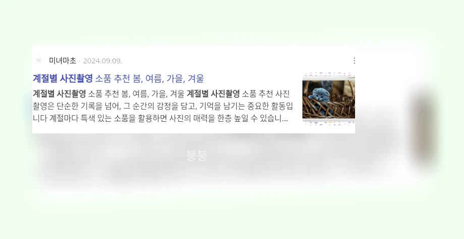 계절별 사진 촬영_3_subsection