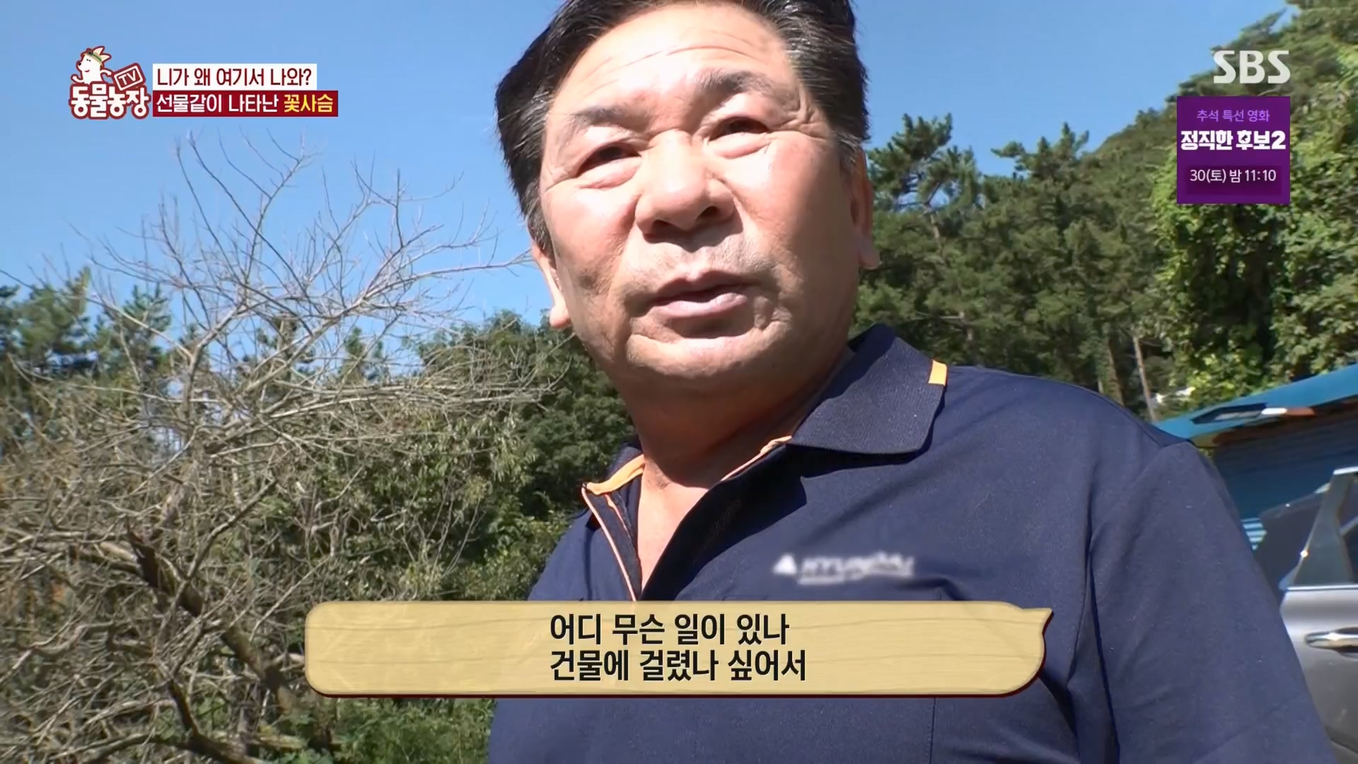 TV 동물농장.E1139.230924p.H264-F1RST.mp4_20230924_172347.191.jpg