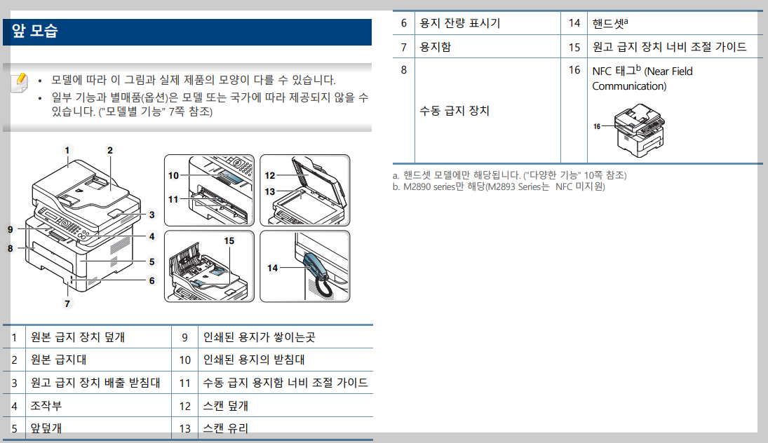 앞모습