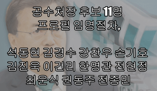  공수처장 후보 11명 프로필 임명절차, 석동현 김경수 강찬우 손기호 김진욱 이건리 한명관 전현정 최운식 권동주 전종민